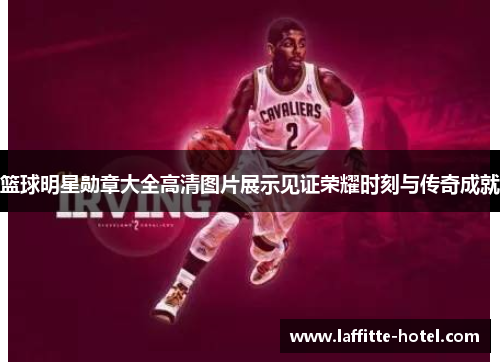 篮球明星勋章大全高清图片展示见证荣耀时刻与传奇成就